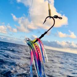 ..noch keinen Fisch an der Angel..