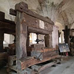 Weinpressen Kloster Eberbach