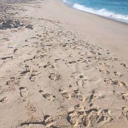 Schöner Strand inclusive
