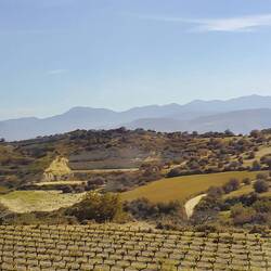 Cyprus countryside