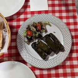 Dolmades or Koupepia (stuffed grape leaves)