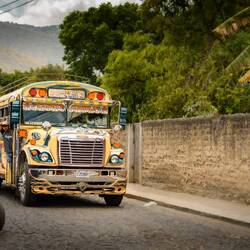 Beautiful Chickenbus