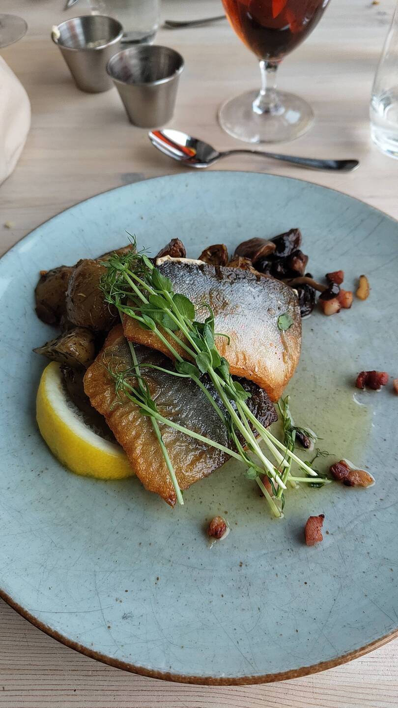 Artic char, um primo próximo da salmão?