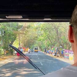 We love these tree-shaded roads