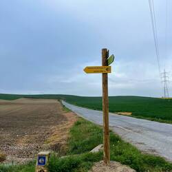 Usually the English translation is "The Way of St. James," but here it was Jacob's way