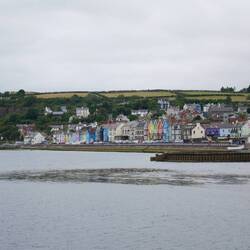 Whitehead