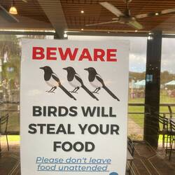 Eat here at your own risk?