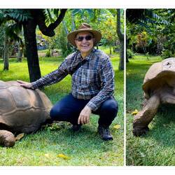 Seychelles Tortoise @ Lemuria Land — Nosy Be, Madagascar.