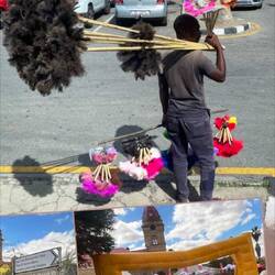 Ostrich Feather Dusters-- how do we get them home