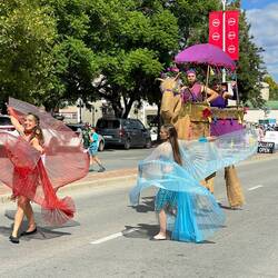 Its a Parade ..with a camel