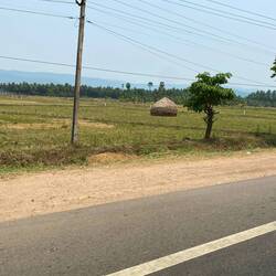 We've seen these haystacks all over. They remind me of Monet!