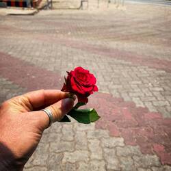 I was given this our of a car window driving down the highway!!!