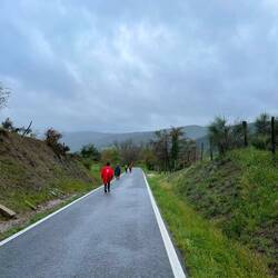 Pilgrims along the road