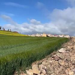 we walked by a ton of endless fields of an unknown