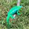 Chameleon