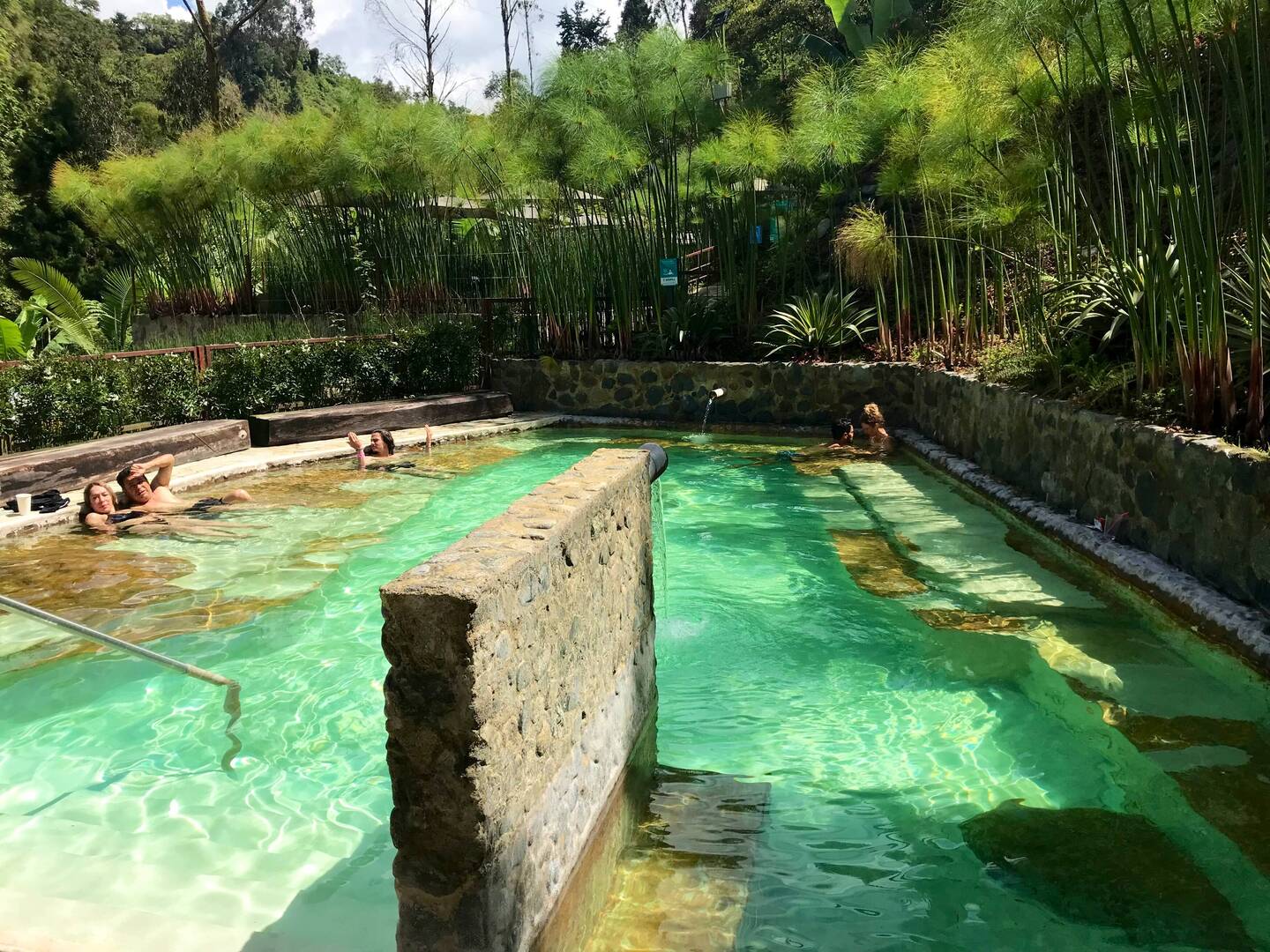 Um eines der Thermalbecken wächst Papyrus