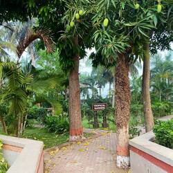 Part of the garden view