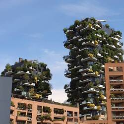 I giardini verticali- Die senkrechten Gärten