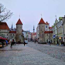 Das Stadttor von Tallinn mit Blumenmarkt davor
