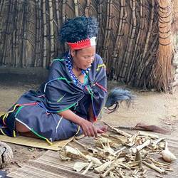 Throw the bones and determine what disease and how to treat it based on how they land