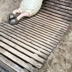 Selbst ein Schaf braucht mal eine Siesta