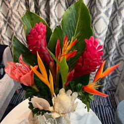 Bought these at the market to brighten up our cabin - $4 US😲