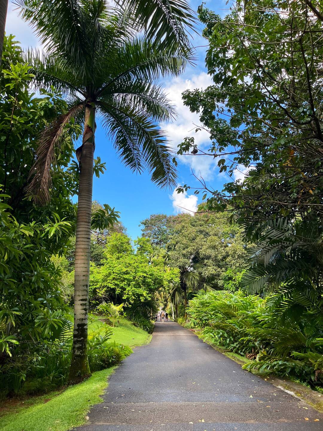 Botanical Gardens
