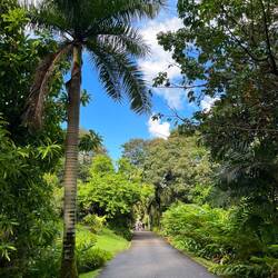 Botanical Gardens