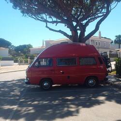 Schöner Schattenplatz am Praia da Falésia