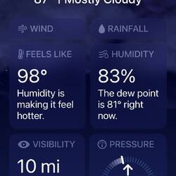 The humidity!
