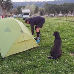 Einen Bewacher haben wir auch :)