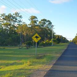 Der Weg zu den Kängurus ist sogar ausgeschildert 😉
