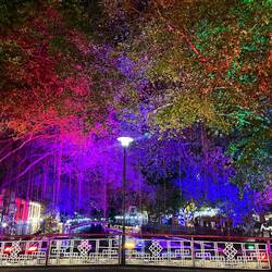 La rivière illuminée de nuit
