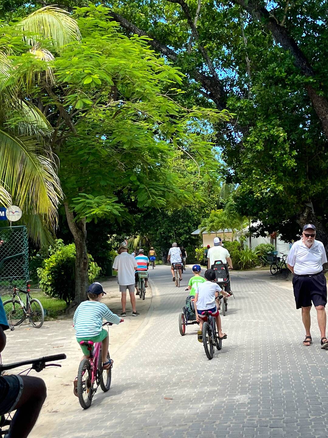 Streetscape. Bicycles rule
