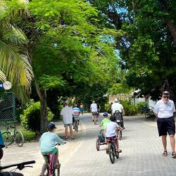 Streetscape. Bicycles rule
