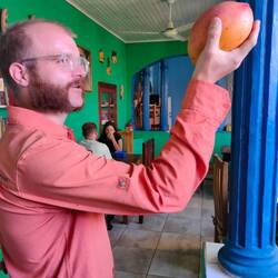 To mango or not to mango?