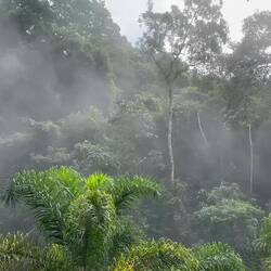 clouds rushing in at 30 degrees