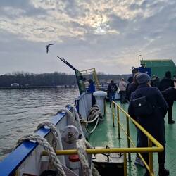 Lange dauert die Fährfahrt nicht