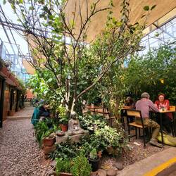 Green Point Cafe