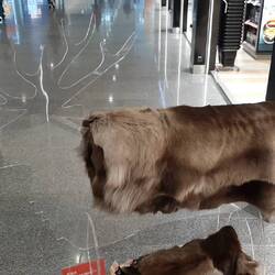 Das wär was für den Sattel :)