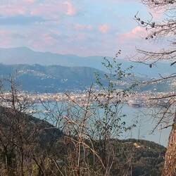 Unser Stellplatz oberhalb von La Spezia im Abendlicht