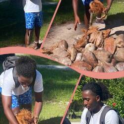 Shelling the Husk Demo