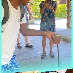 Fresh coconut to eat!