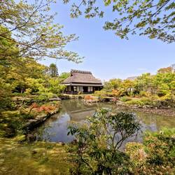 Schönster Garten 😍