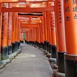 Berühmte Torii-Tore