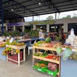 Der Markt in Rio Preto 🍌🍋🍍🥭🥥🍈🍉