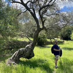 Den Stab gab's als Belohnung nach der ersten Wanderung.
