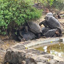 Making future generations