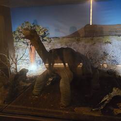 Lonely George himself 🥲