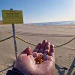 Das Sperrgebiet Richtung Russland